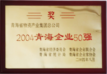 2004青海企業(yè)50強(qiáng)